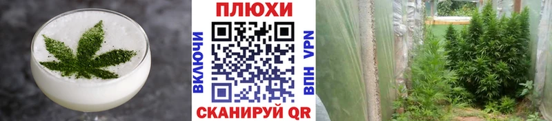 Canna-Cookies конопля  как найти   Дыгулыбгей 