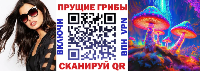 где найти   Дыгулыбгей  Галлюциногенные грибы Psilocybe 