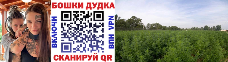 купить  цена  Дыгулыбгей  Канабис LSD WEED 